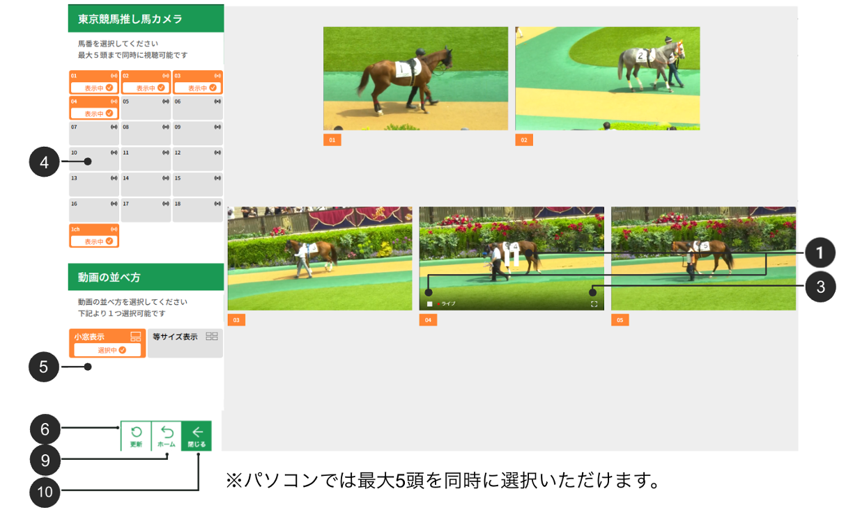 推し馬カメラ 等サイズ表示イメージ