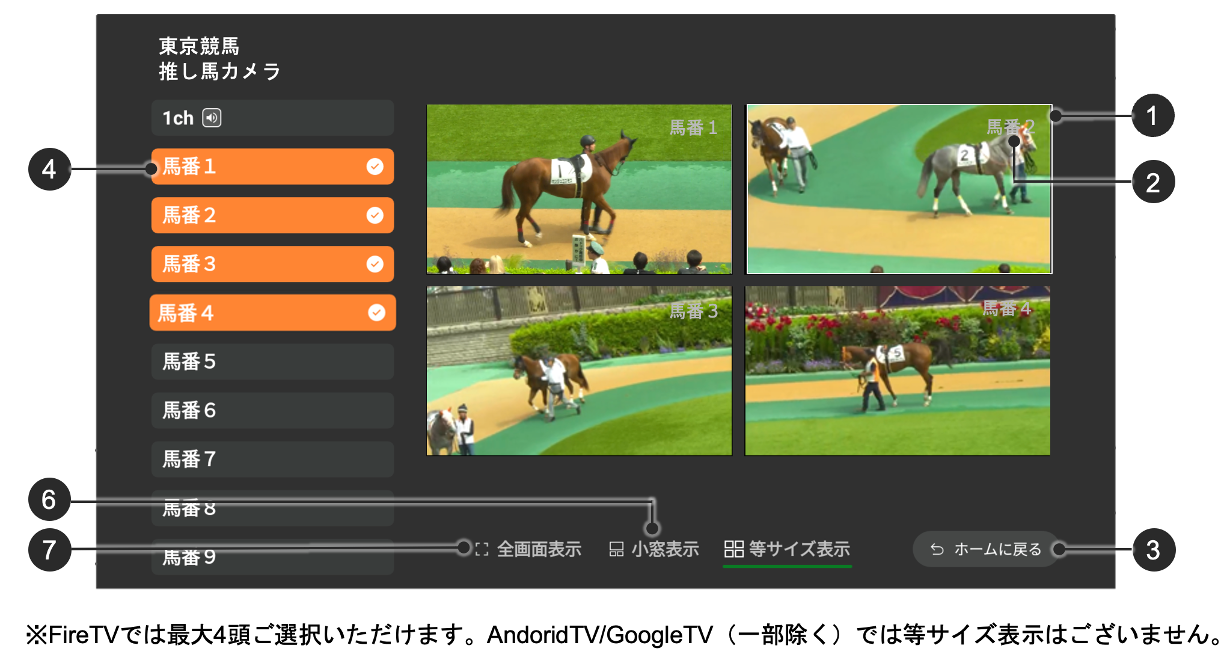 推し馬カメラ 等サイズ表示イメージ