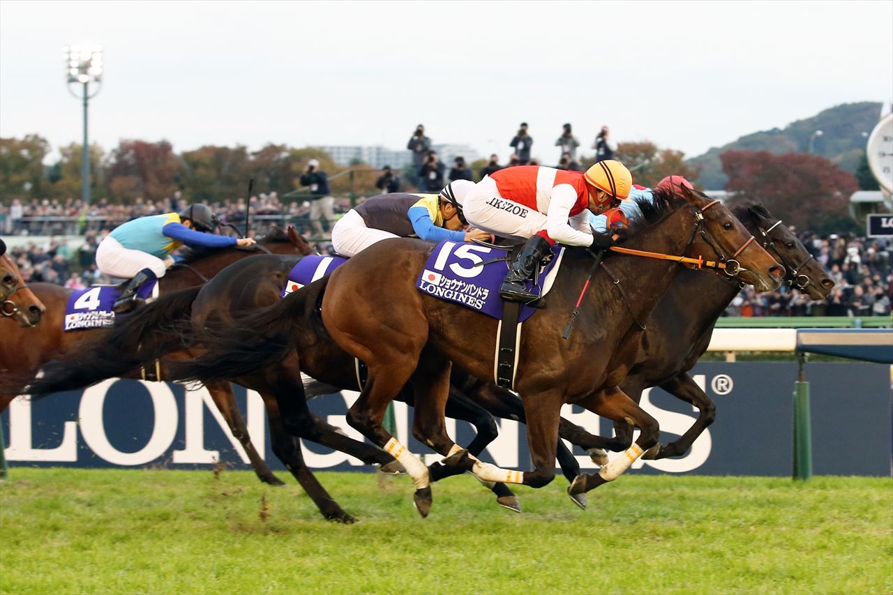 栄光の名馬たち【ショウナンパンドラ】 グリーンチャンネルWeb