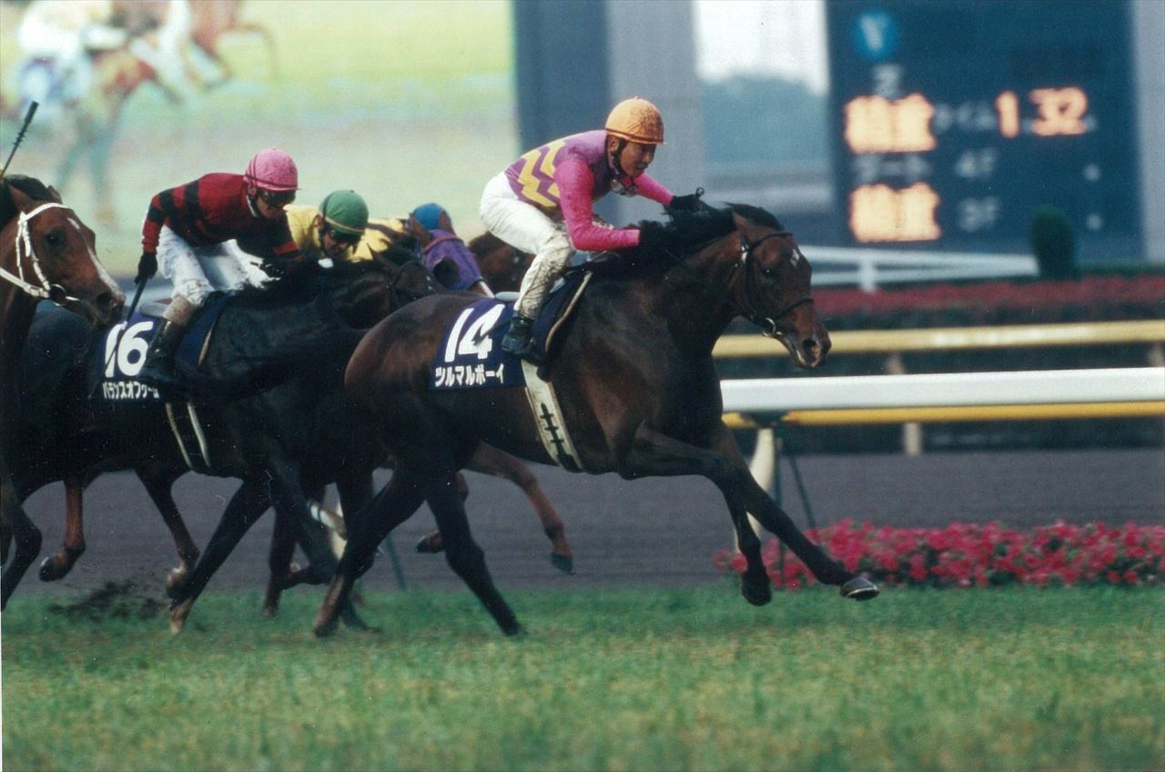 栄光の名馬たち | グリーンチャンネルWeb