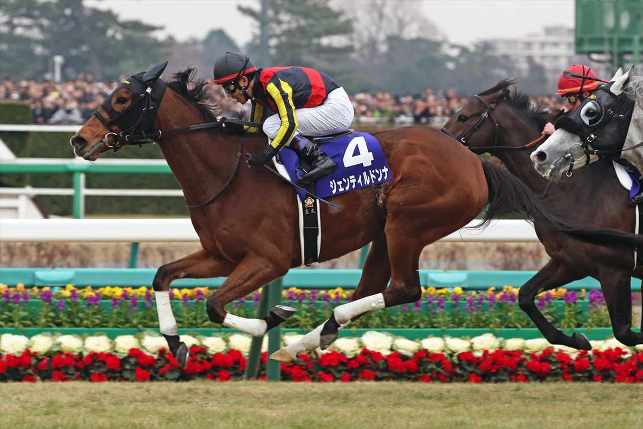 栄光の名馬たち【ジェンティルドンナ】 | グリーンチャンネルWeb