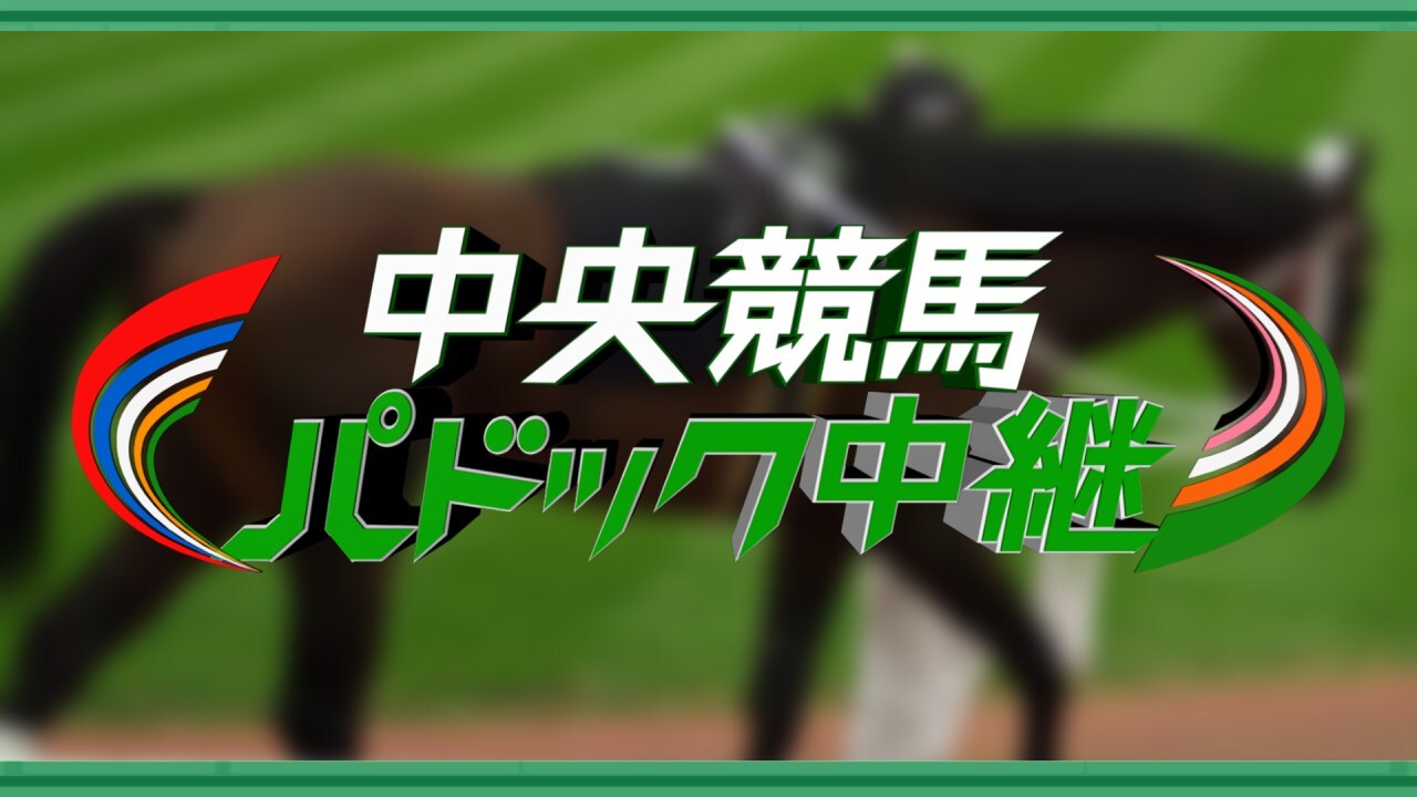 グリーン チャンネル 競馬 中継