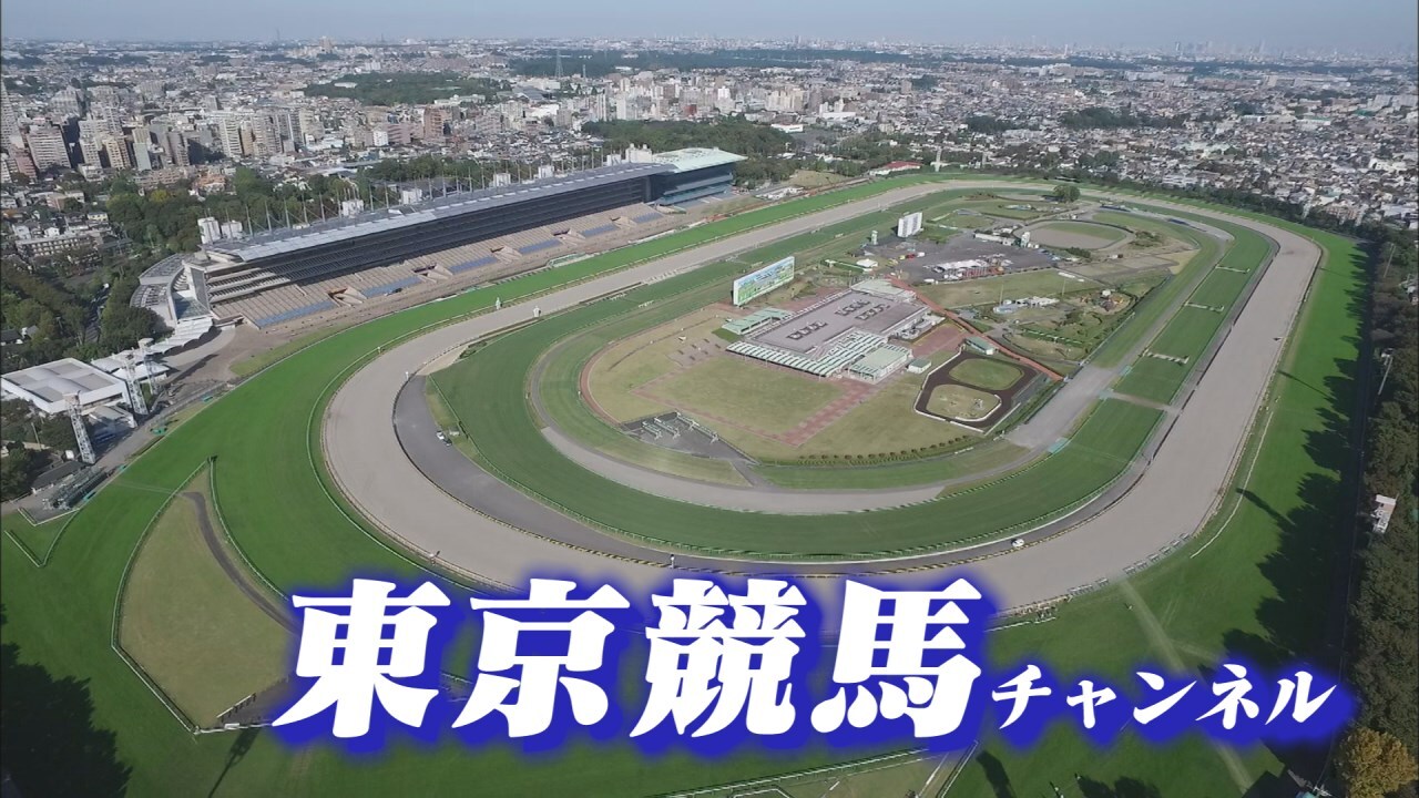 番組表 グリーンチャンネルweb