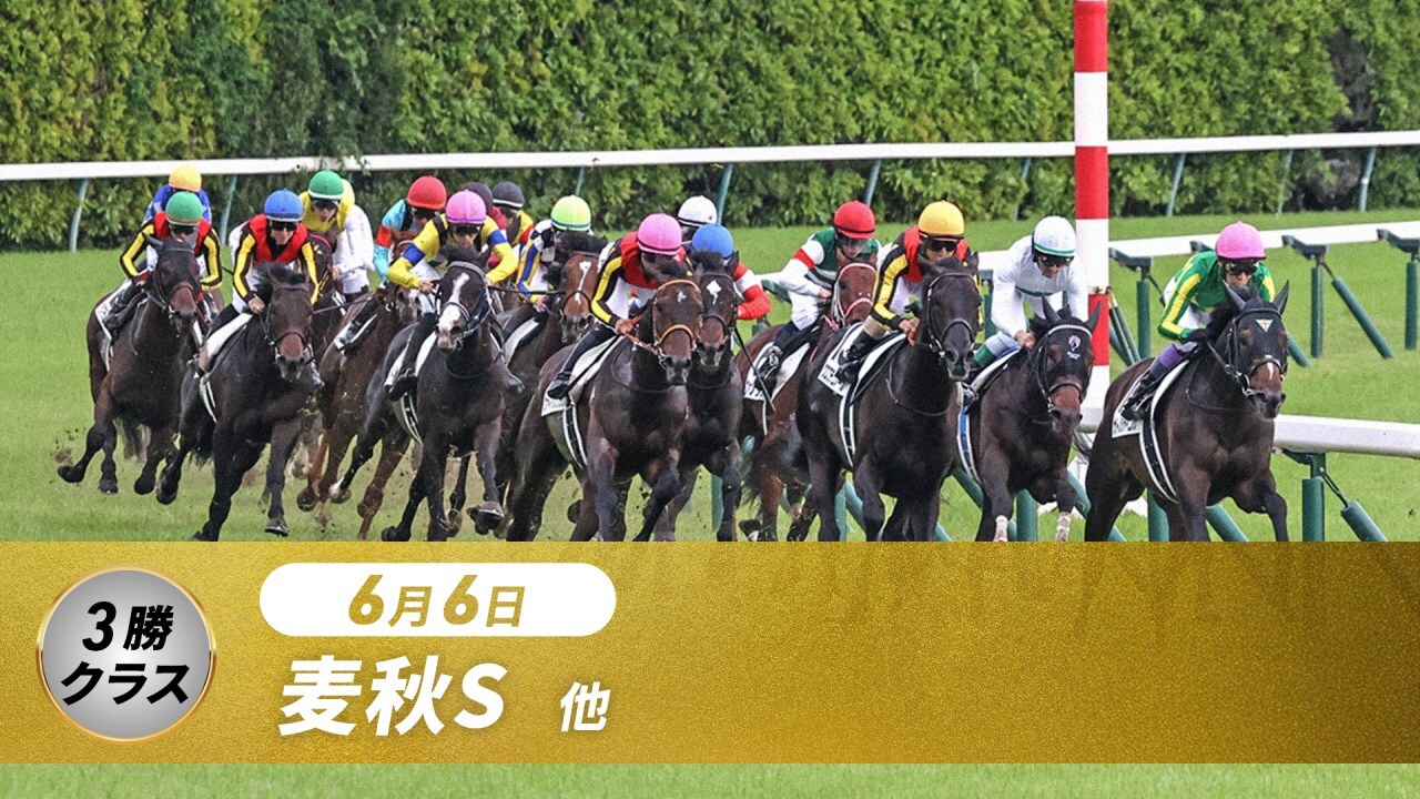 中央競馬全レース中継（土） | グリーンチャンネルWeb