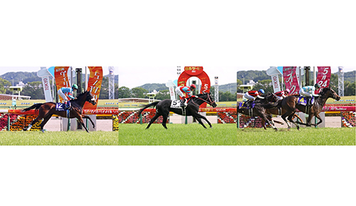 緊急生放送 三冠馬対決に列島が沸いた！第40回ジャパンカップ