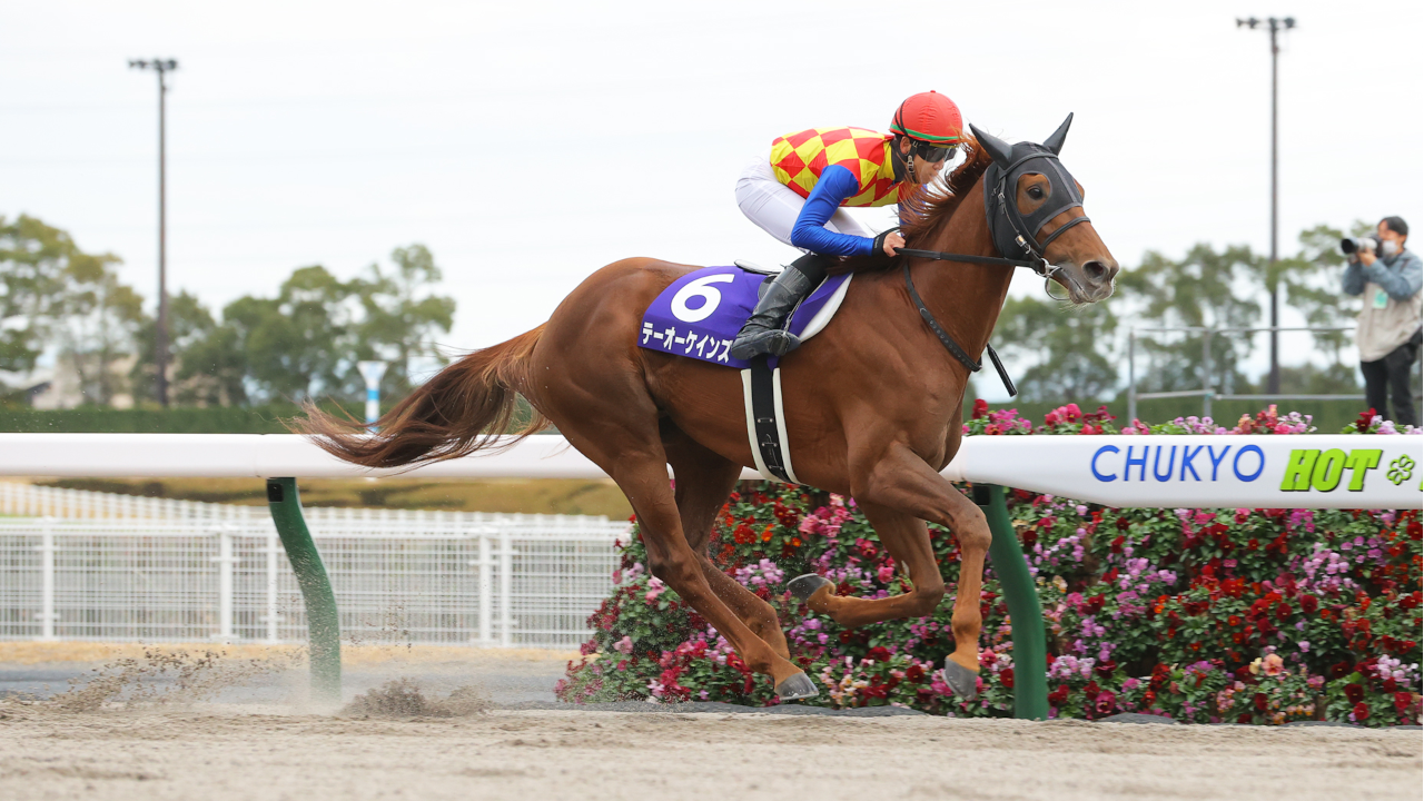 栄光の名馬たち【テイエムオペラオー】 | グリーンチャンネルWeb