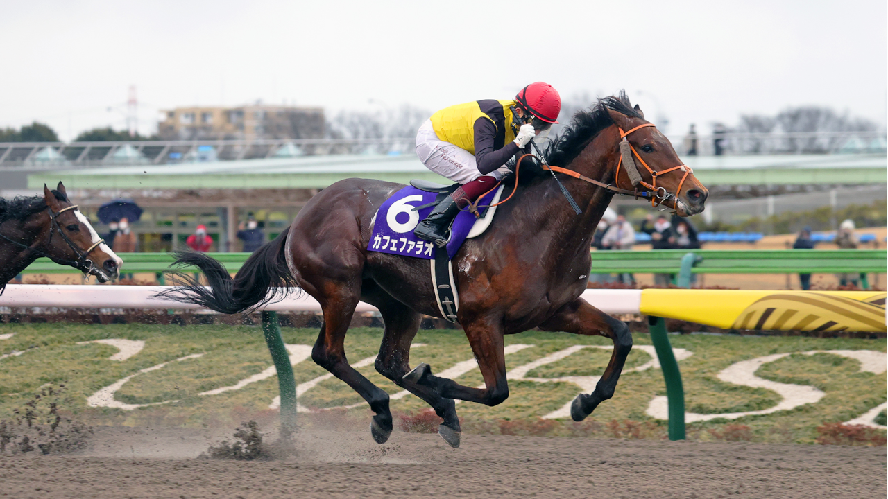 栄光の名馬たち【ジャスティンミラノ】 | グリーンチャンネルWeb