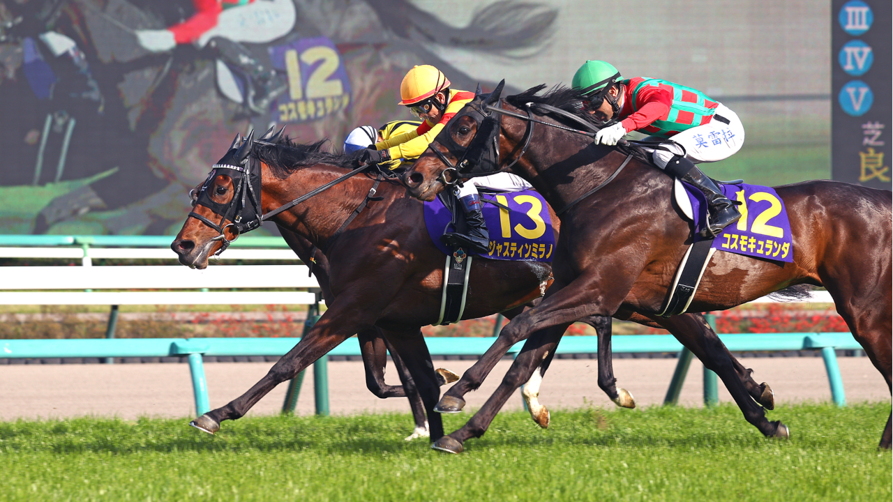 栄光の名馬たち【ジャスティンミラノ】 | グリーンチャンネルWeb