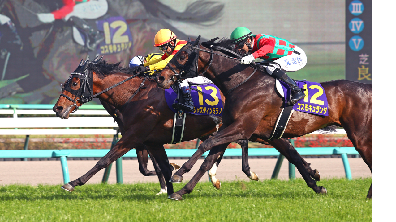 栄光の名馬たち【テイエムオペラオー】 | グリーンチャンネルWeb