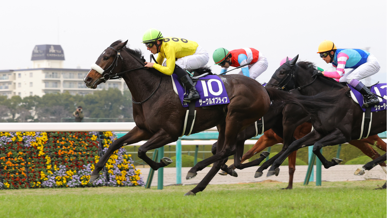 栄光の名馬たち【テイエムオペラオー】 | グリーンチャンネルWeb