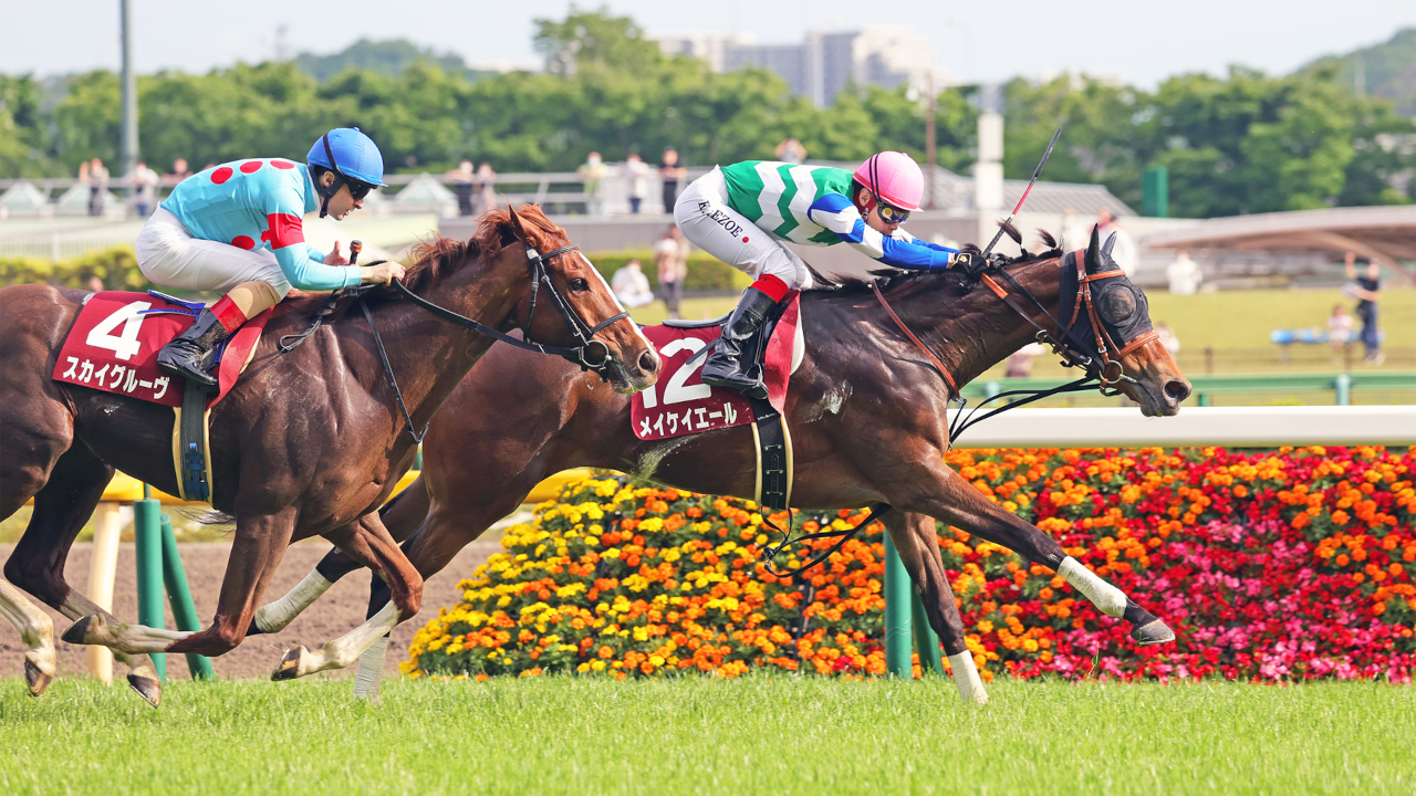 栄光の名馬たち【ジャスティンミラノ】 | グリーンチャンネルWeb