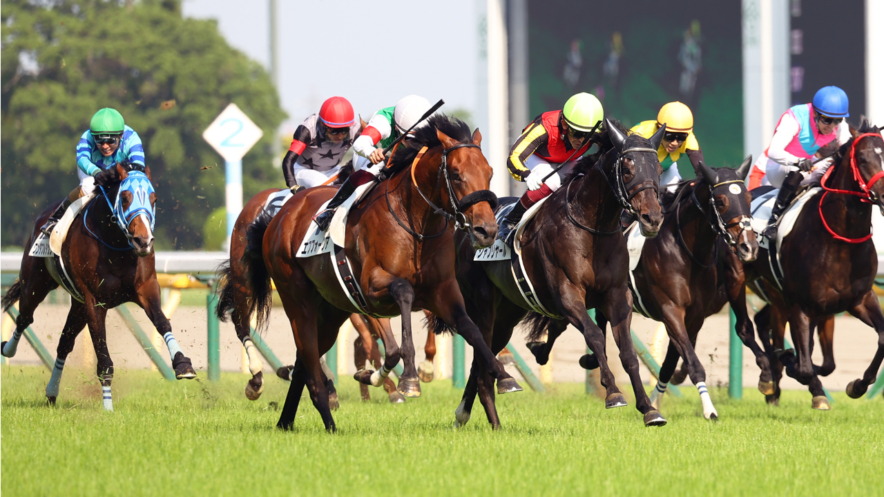 栄光の名馬たち【ジャスティンミラノ】 | グリーンチャンネルWeb