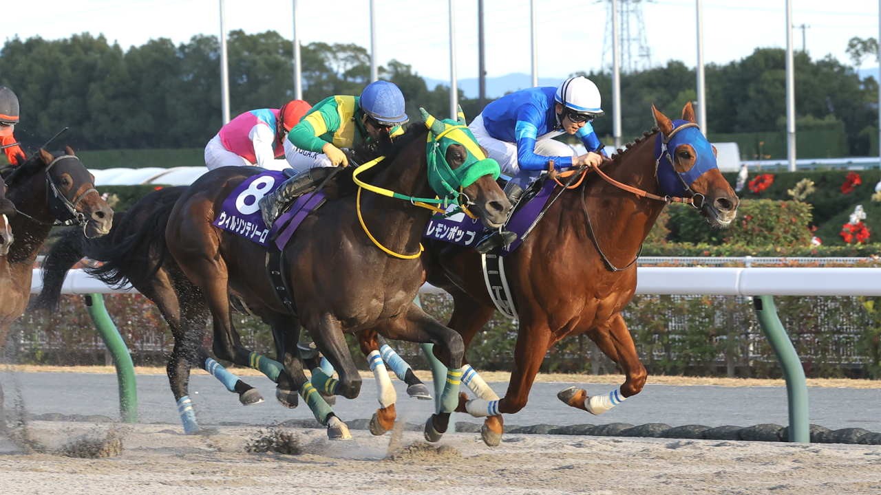 栄光の名馬たち【ジャスティンミラノ】 | グリーンチャンネルWeb
