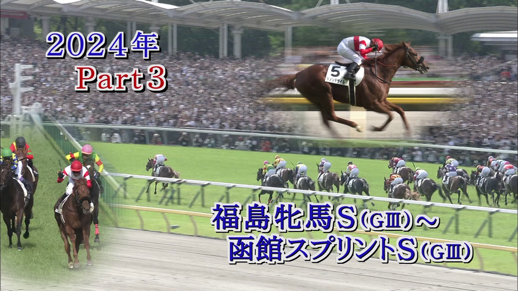 中央競馬重賞レーザーディスク年鑑1986年〜1995年まで 中央競馬重賞レーザーディスク年鑑1986年〜1995年まで 中央競馬重