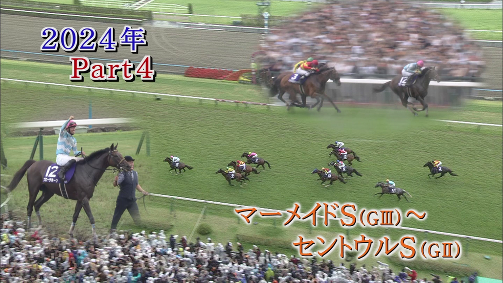 競馬 ボタン Kawasaki Genuine Ninja ZX7R ZX7RR Fuel Tap Petcock 51023