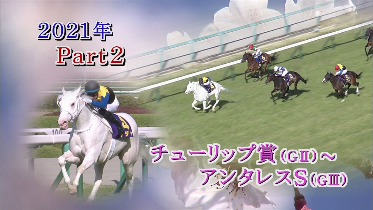 競馬 カプコレ タワーオブロンドン アーリントンC - スポーツ