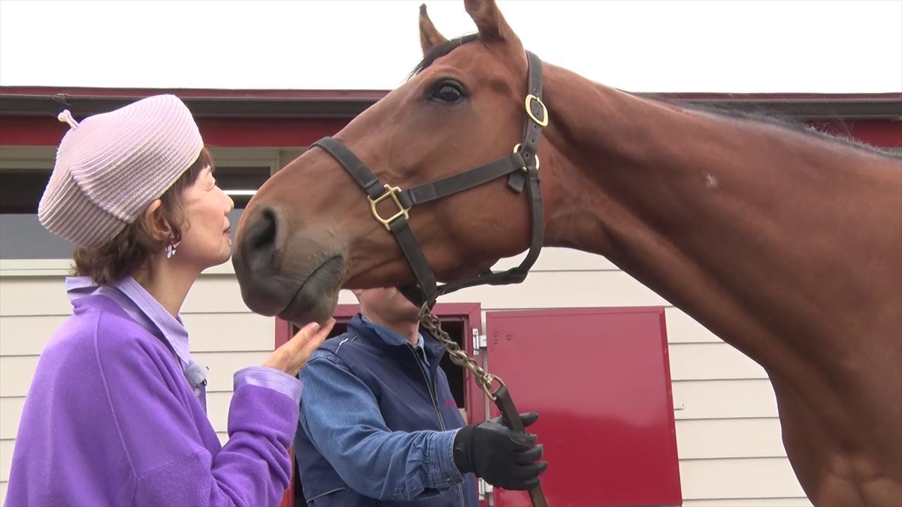 オルフェーヴル～絆で掴んだ三冠～ | グリーンチャンネルWeb